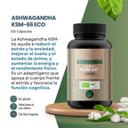 ASHWAGANDHA KSM-66