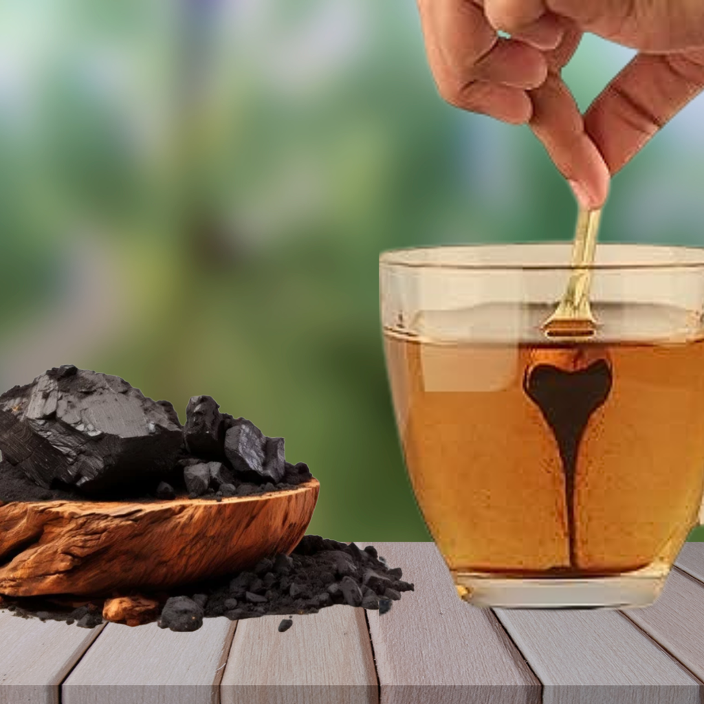 Shilajit 100% puro 💎 Fuente de energía vital del Himalaya 